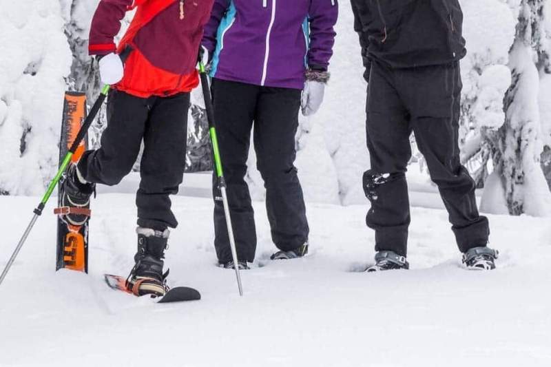 Taigavire equipment rental