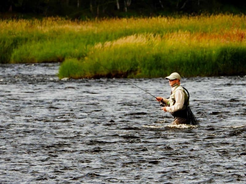 Mitteilteil des Flusses Iijoki 5573