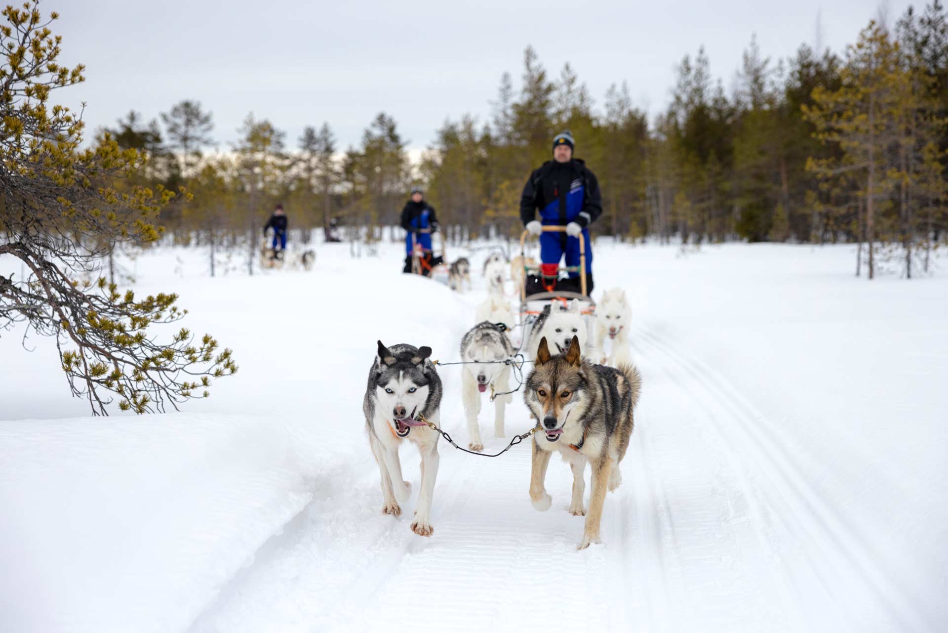 talvella on tilaa temmeltää taivalkoskella