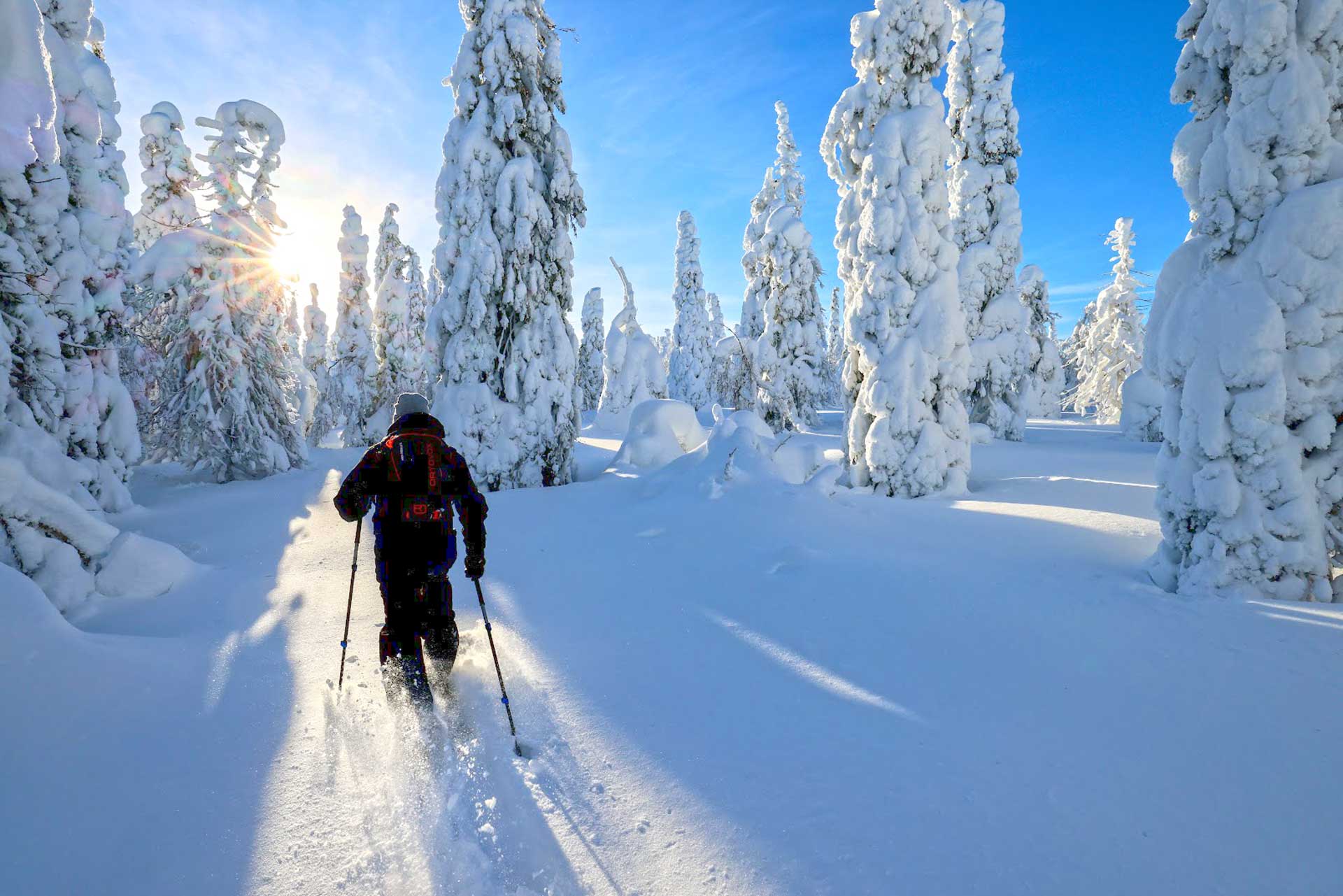 Snow shoeing in Taivalkoski Finland