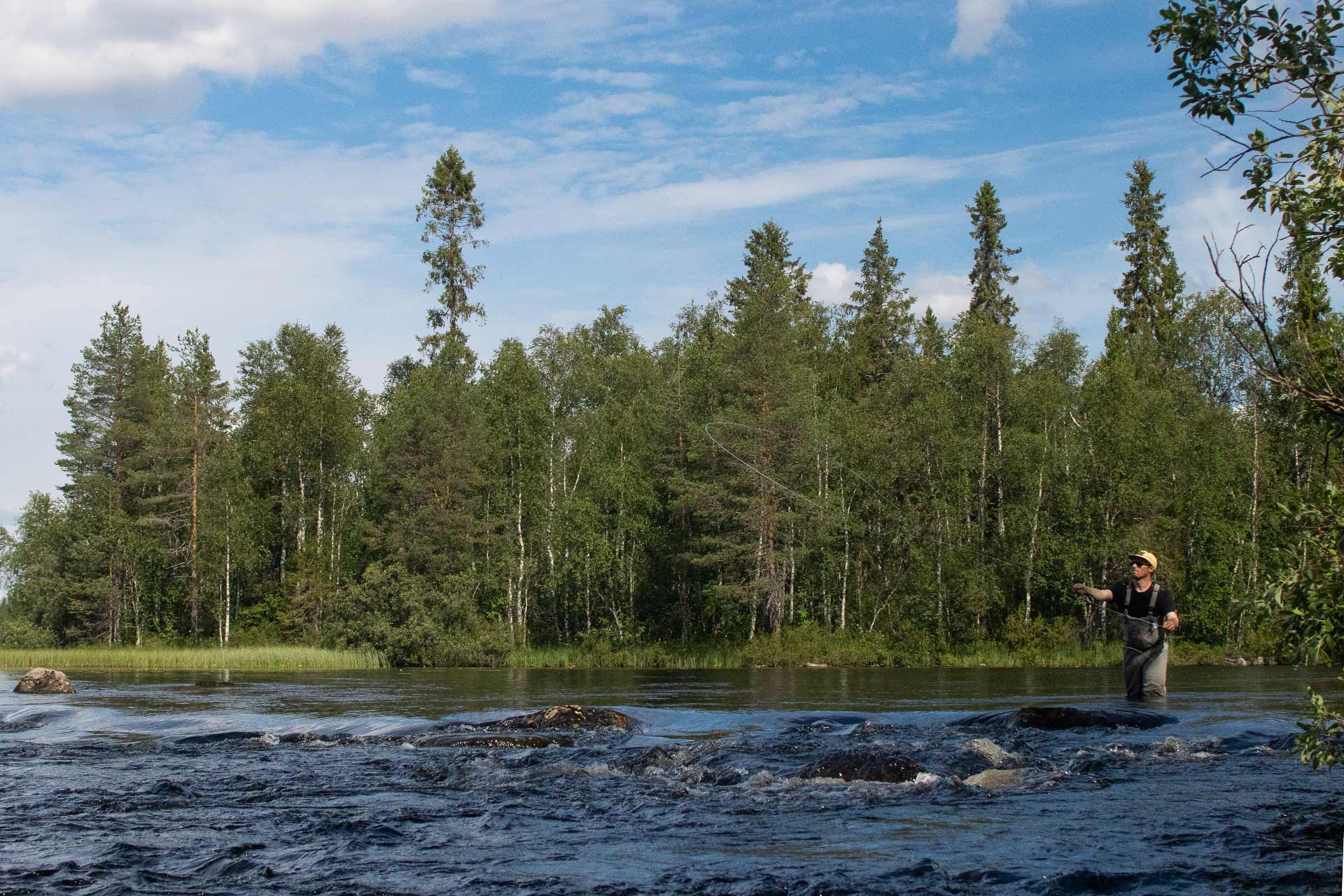 Perhokalastusta Taivalkoskella