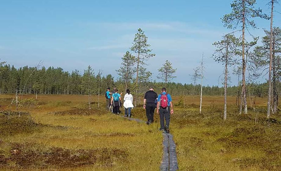 wp-content/uploads/2020/01/visittaivalkoski-simosenpolku.jpg