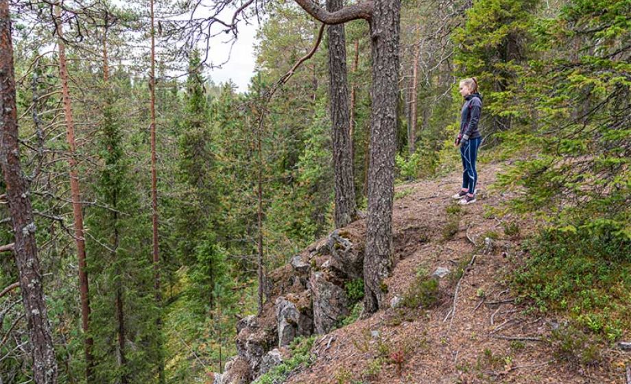 wp-content/uploads/2020/01/visittaivalkoski-pahkakuru.jpg