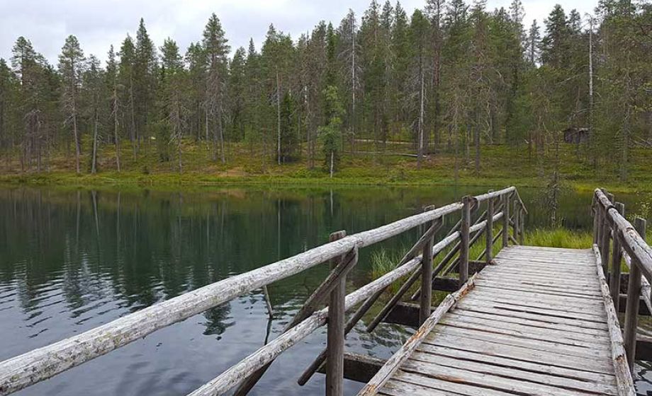 wp-content/uploads/2020/01/visittaivalkoski-soiperoinen-kesa.jpg