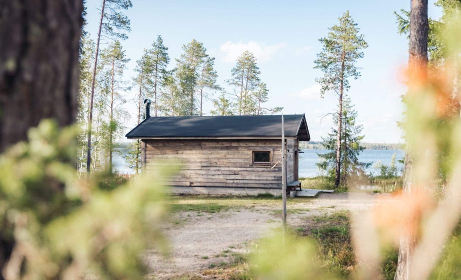 wp-content/uploads/2020/01/taivalkoski-saija-2024-web-photo-brave_teddy-9.jpg