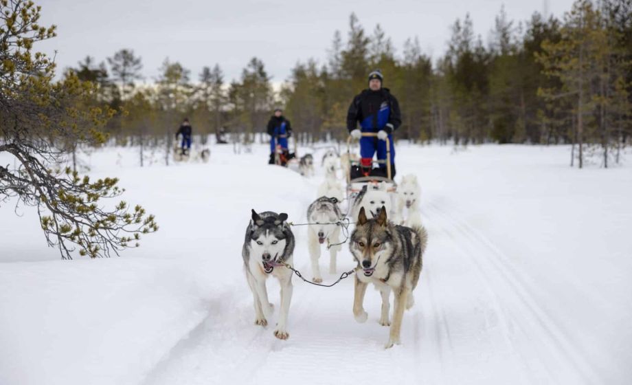 wp-content/uploads/2020/01/Taivalkoski_2X8A3723-scaled.jpg