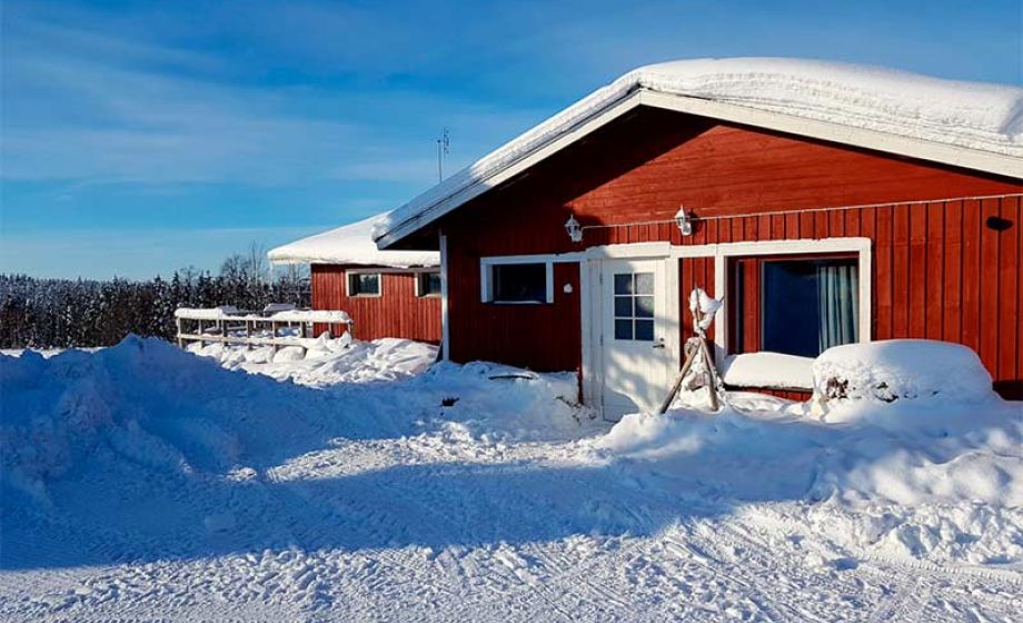 wp-content/uploads/2020/01/visittaivalkoski-backwoodshusky-rakennus-talvi.jpg